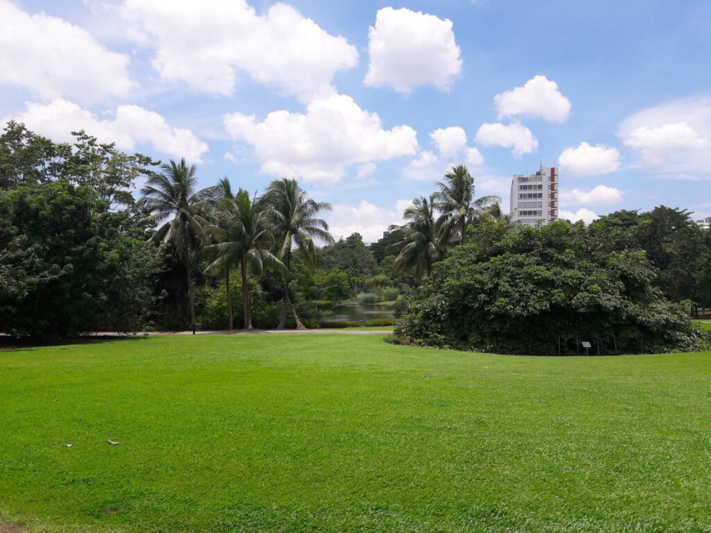 Botanischer Garten Singapur 2017