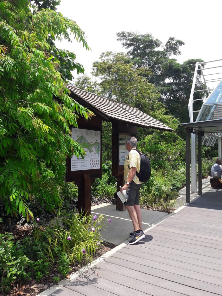 Botanischer Garten Singapur 2017