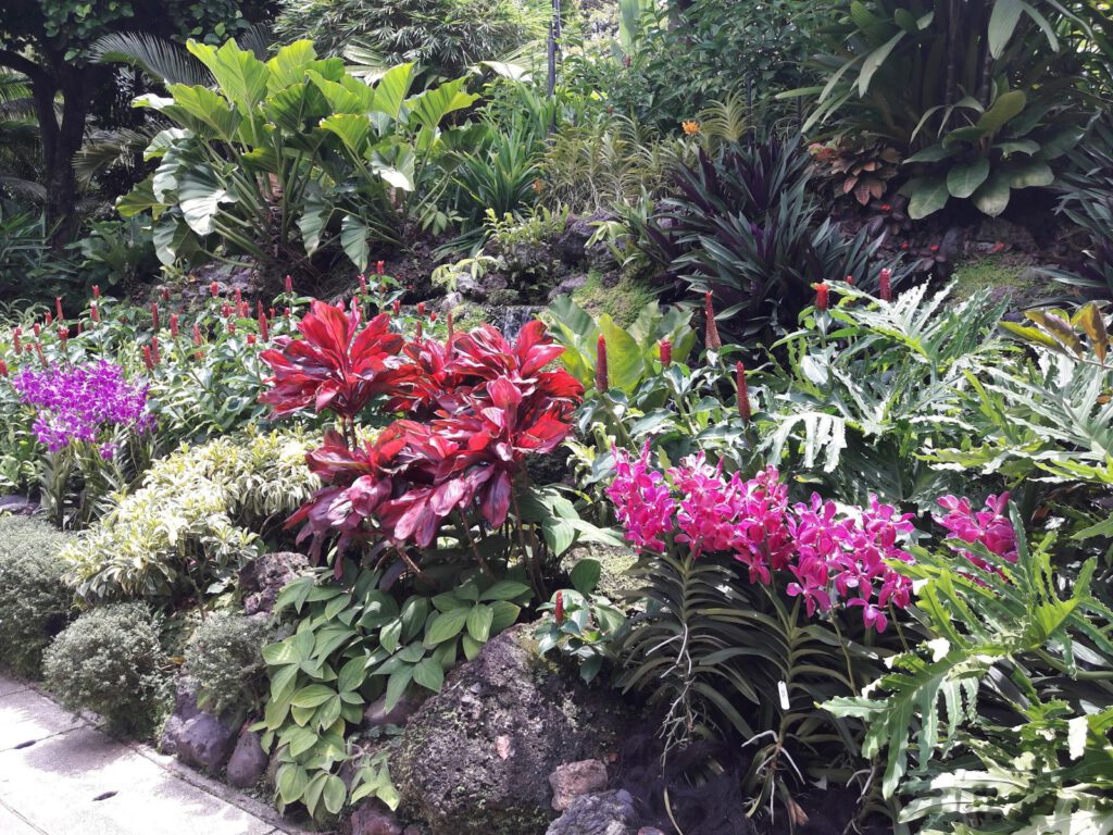 Botanischer Garten Singapur 2017