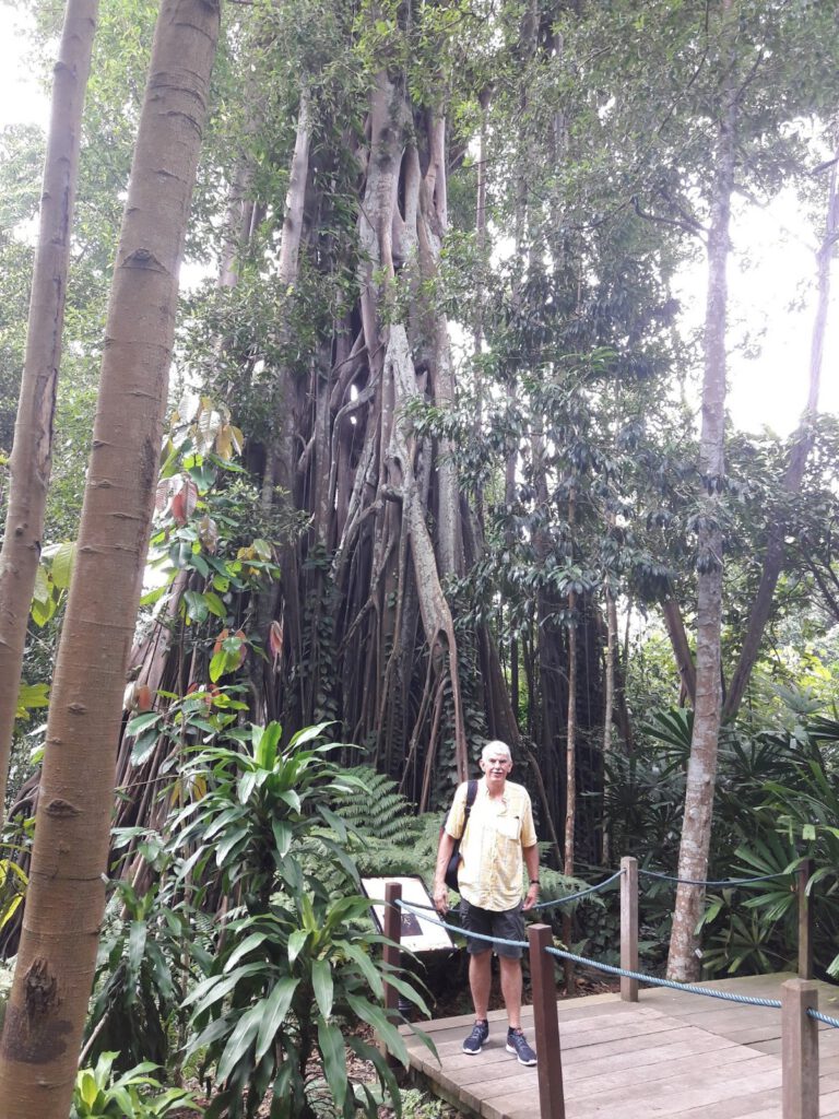 Botanischer Garten Singapur 2017