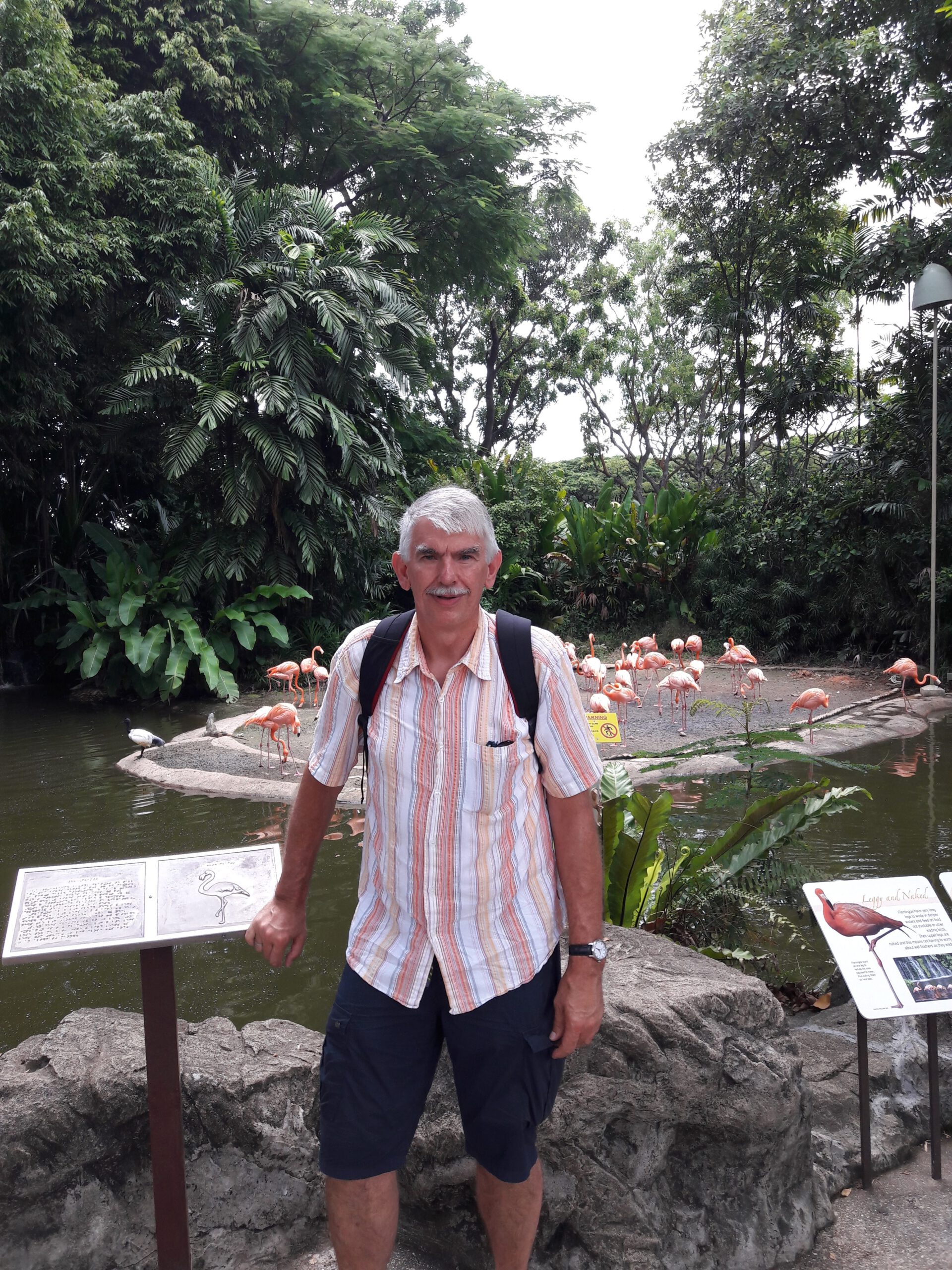 Jurong Bird Park Singapur 2017