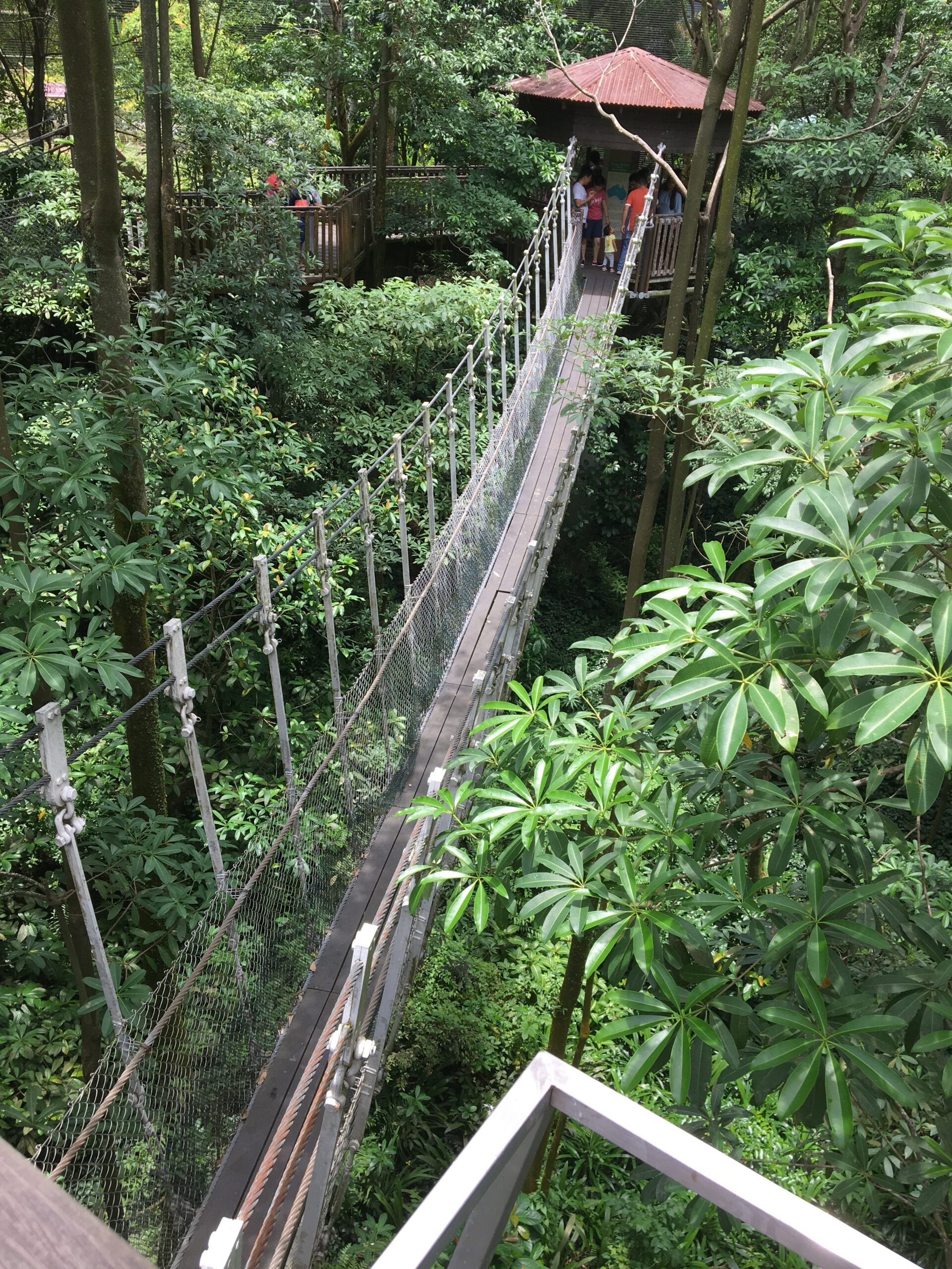 Jurong Bird Park Singapur 2017