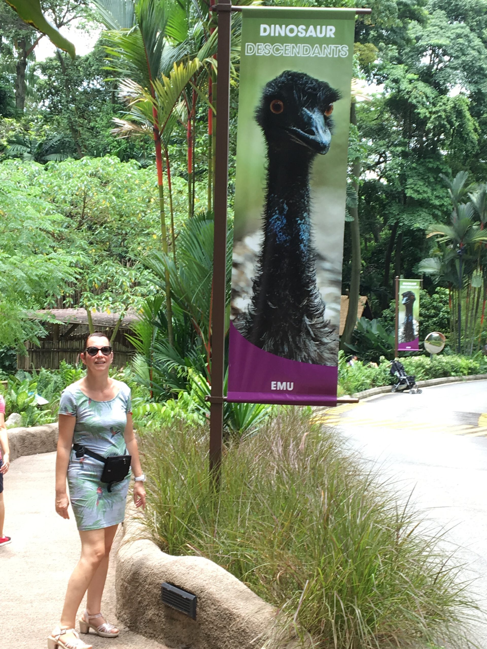 Jurong Bird Park Singapur 2017