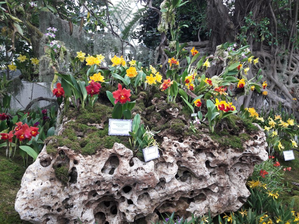 Garden by the bay Singapur 2017