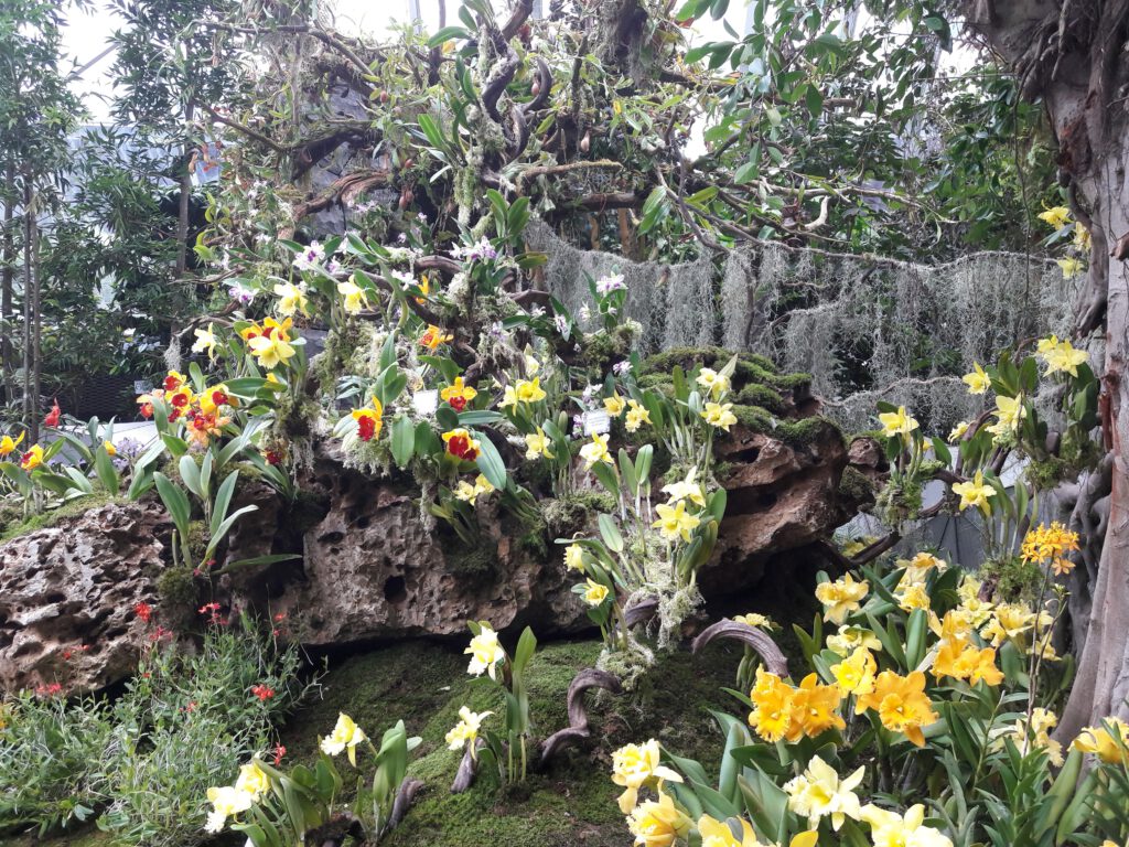 Garden by the bay Singapur 2017