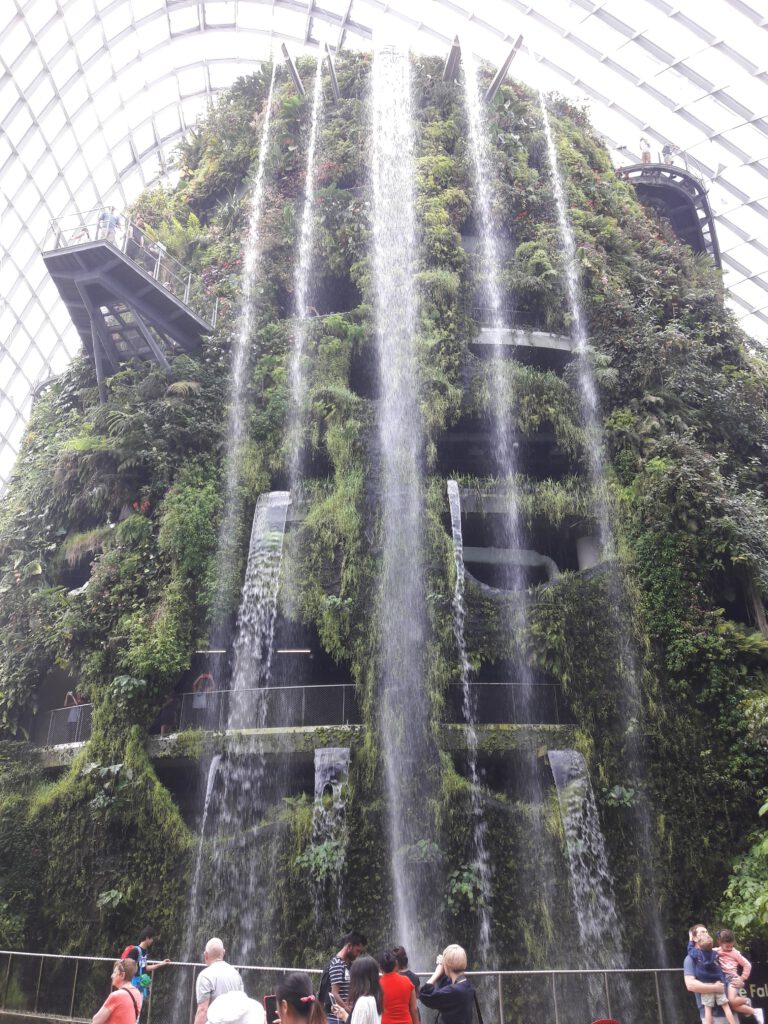 Garden by the bay Singapur 2017