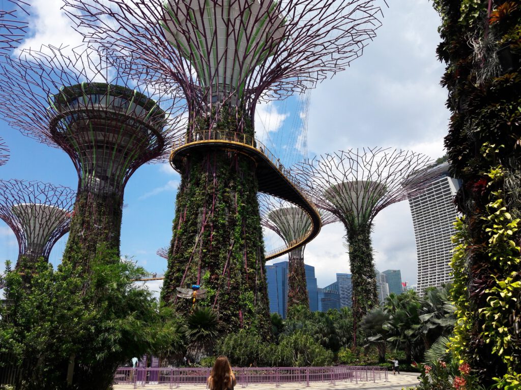 Garden by the bay Singapur 2017