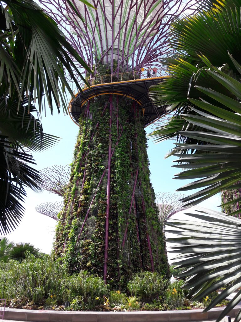 Garden by the bay Singapur 2017