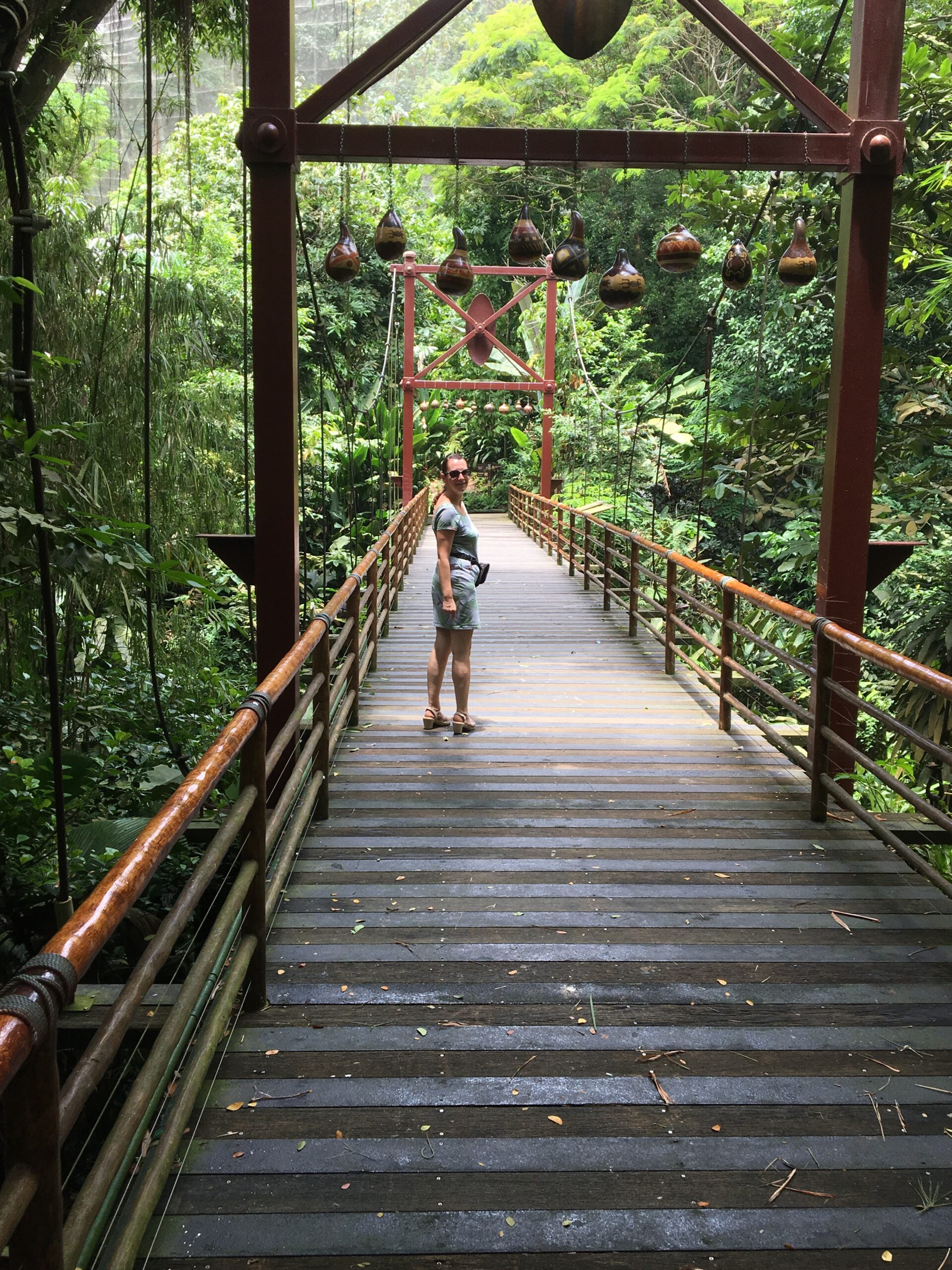 Jurong Bird Park Singapur 2017