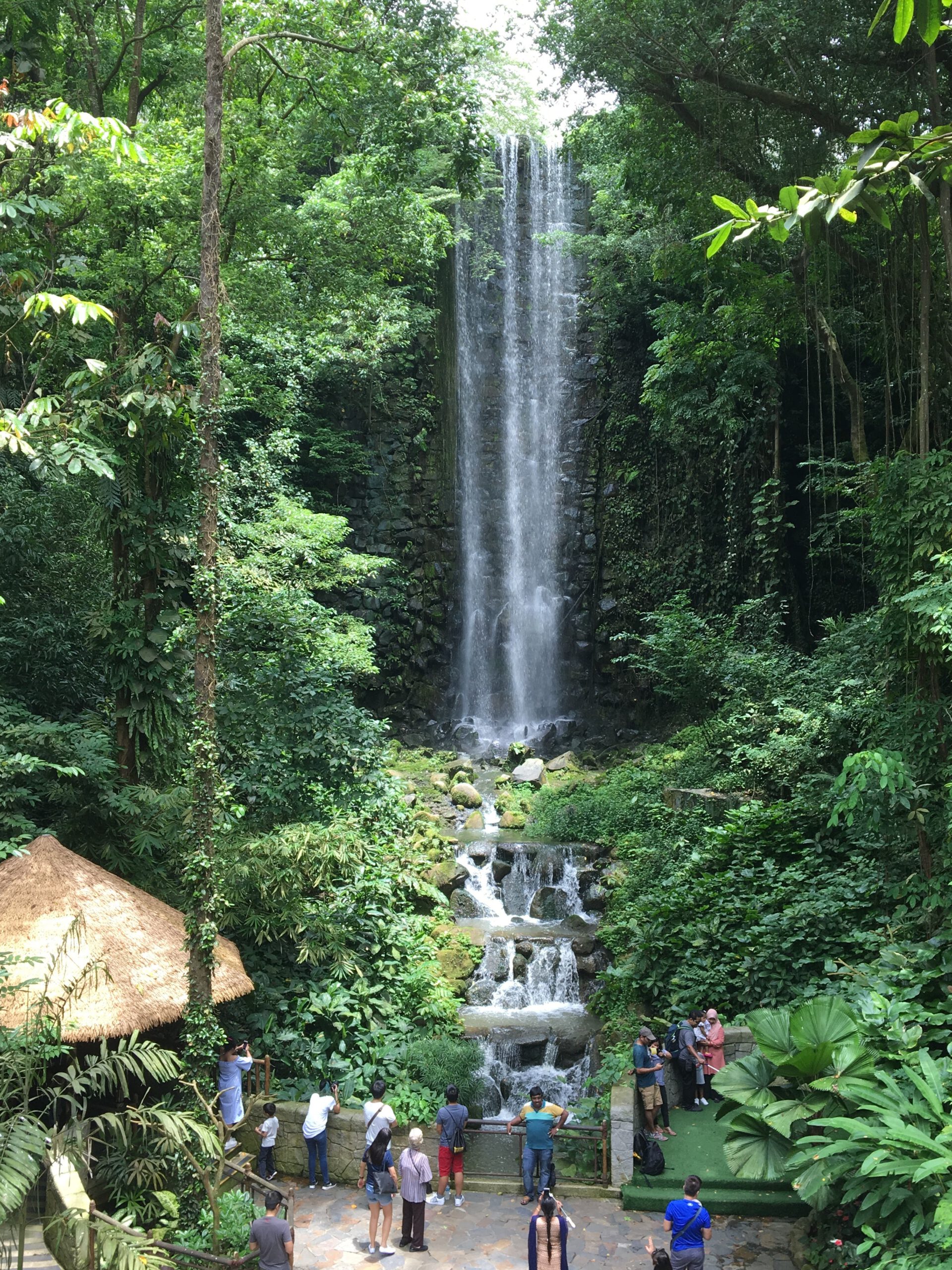 Jurong Bird Park Singapur 2017