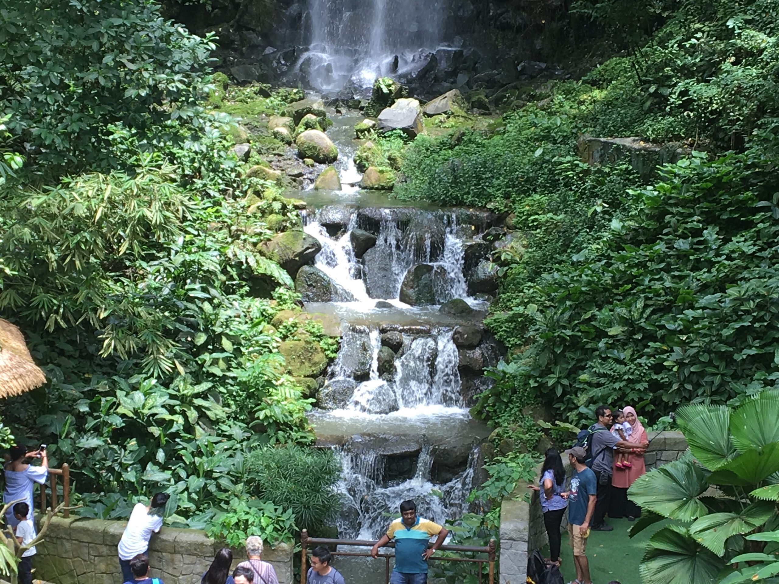 Jurong Bird Park Singapur 2017