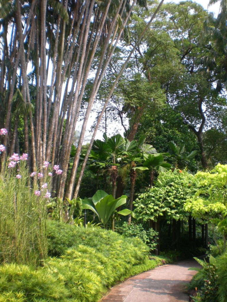 National Orchid Garden Singapur 2014