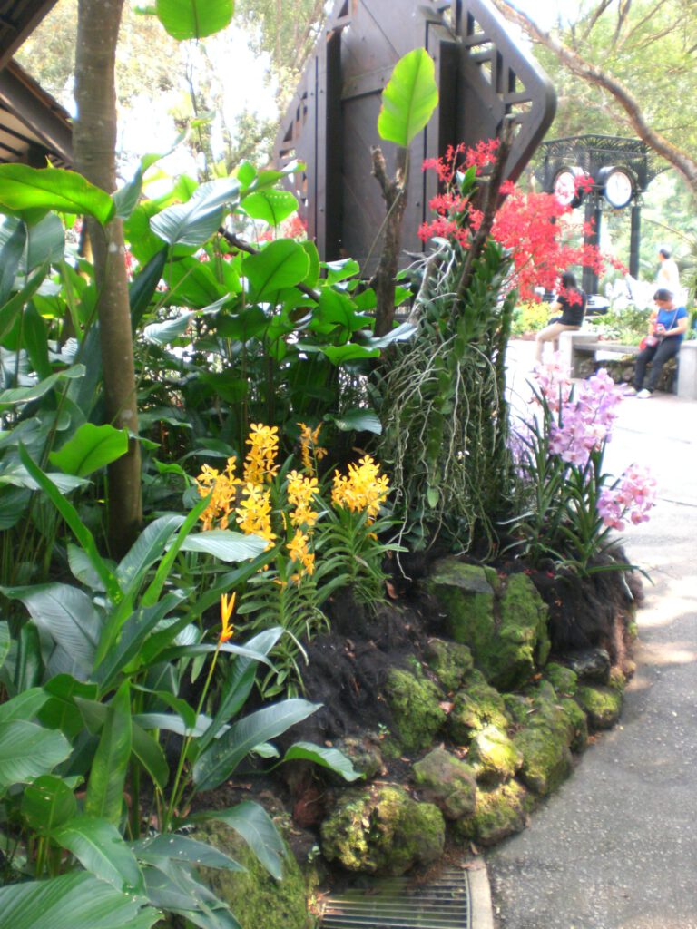 National Orchid Garden Singapur 2014