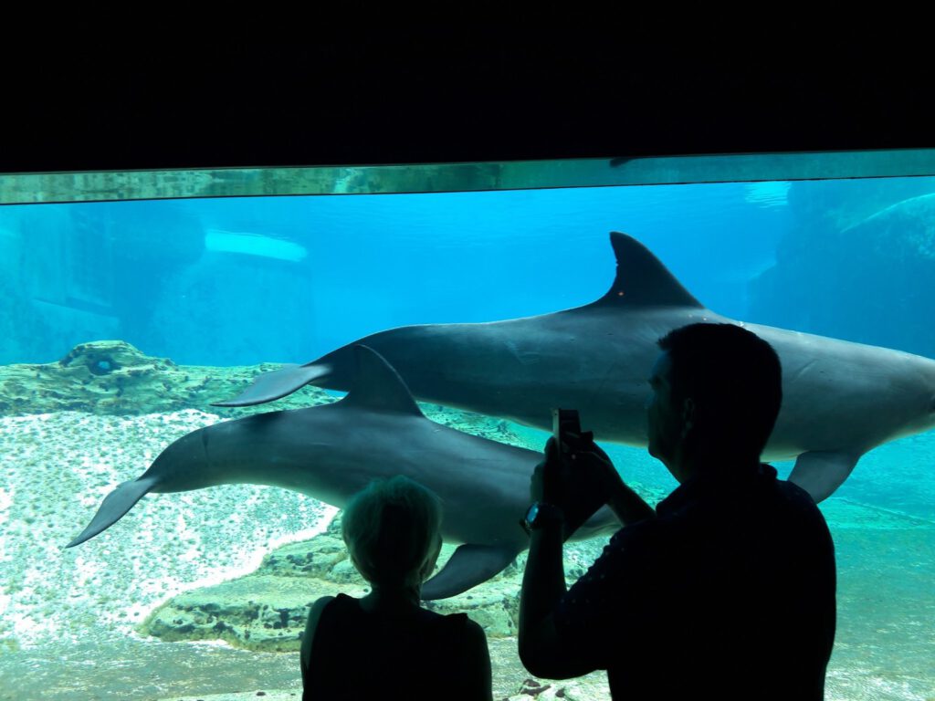 S.E.A. Aquarium Singapur 2017