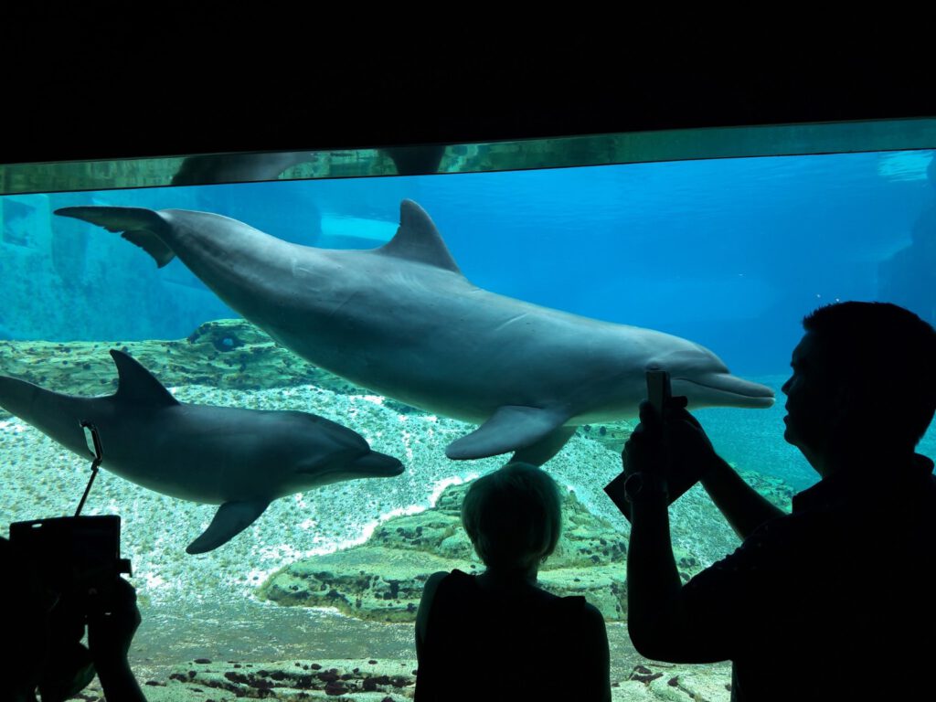 S.E.A. Aquarium Singapur 2017