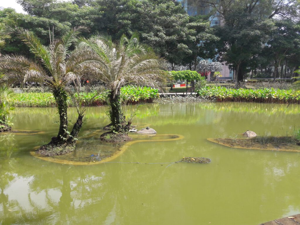 Toa Payoh Town Park Singapur 2017