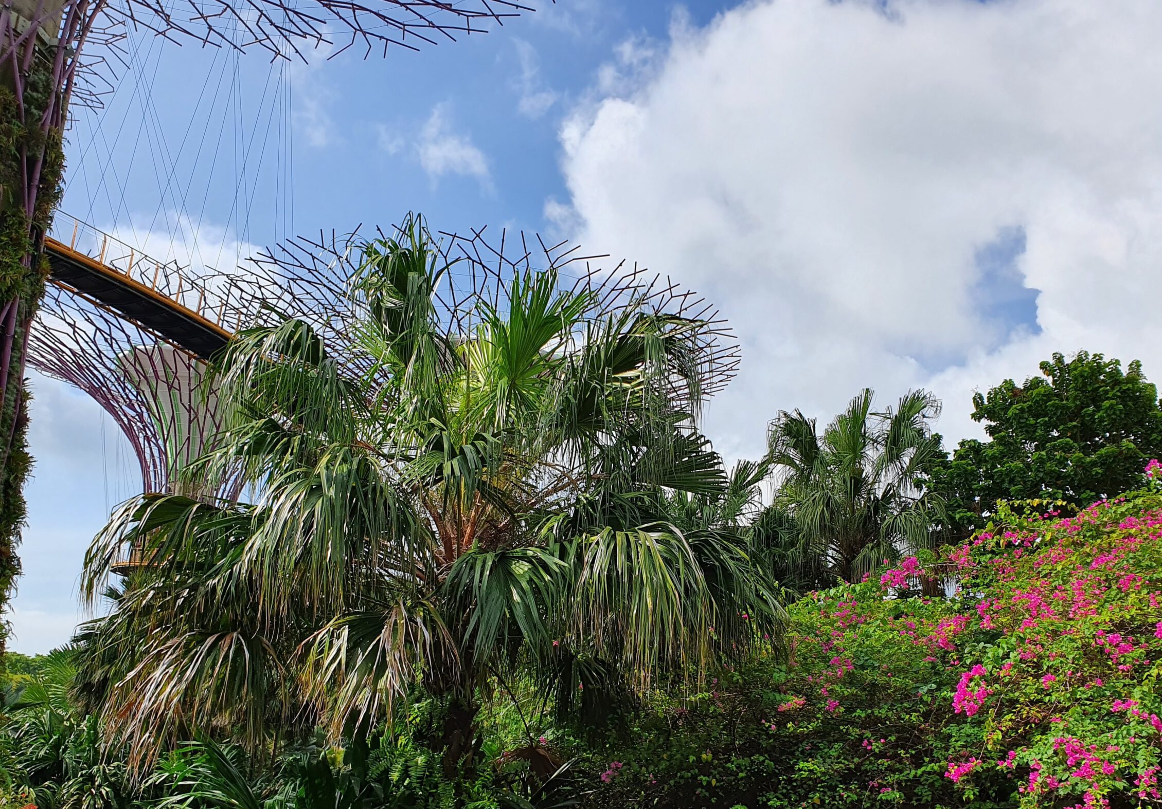 Gardens by the Bay 03.03.2022