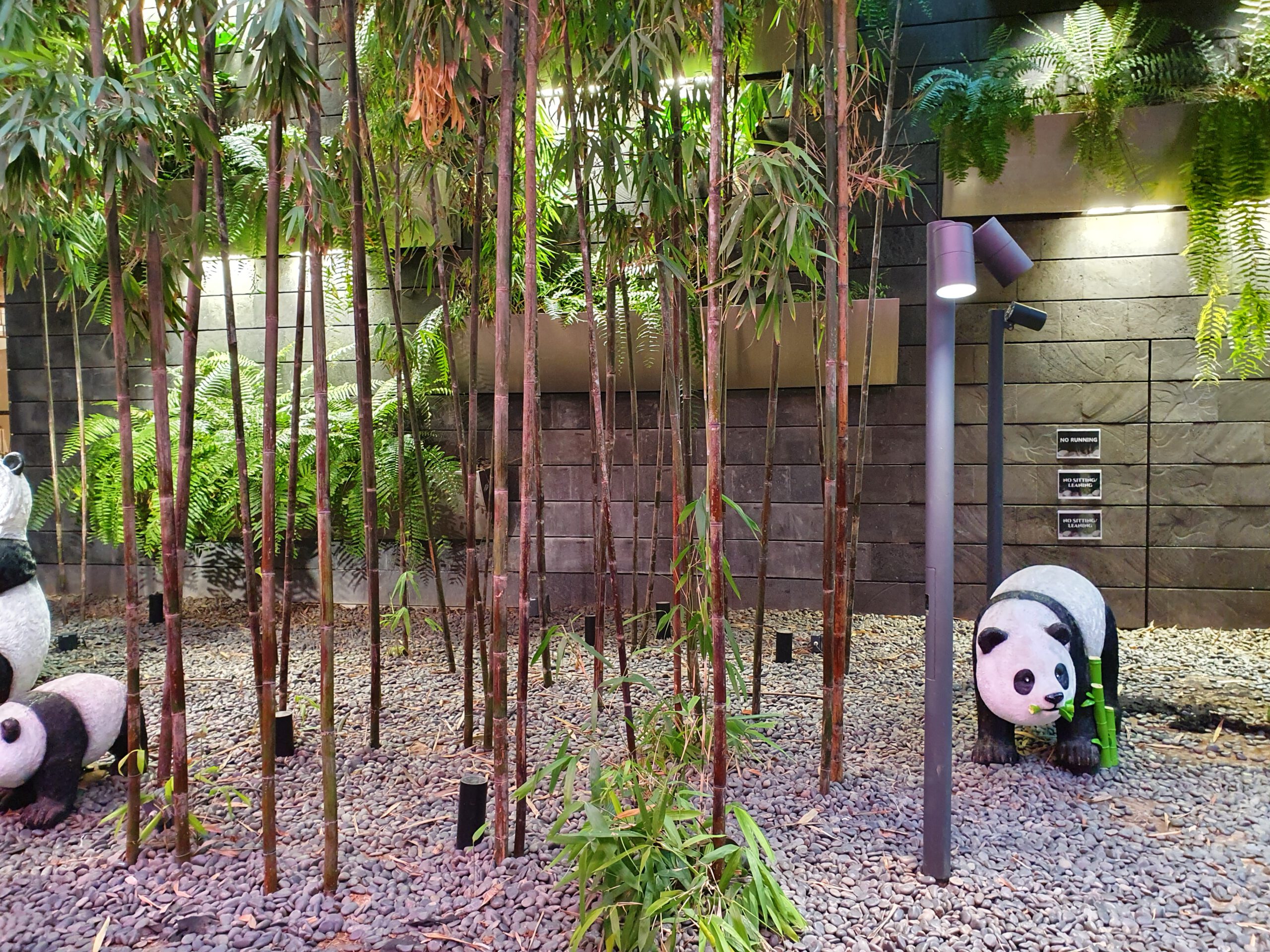 Jewel Changi Airport