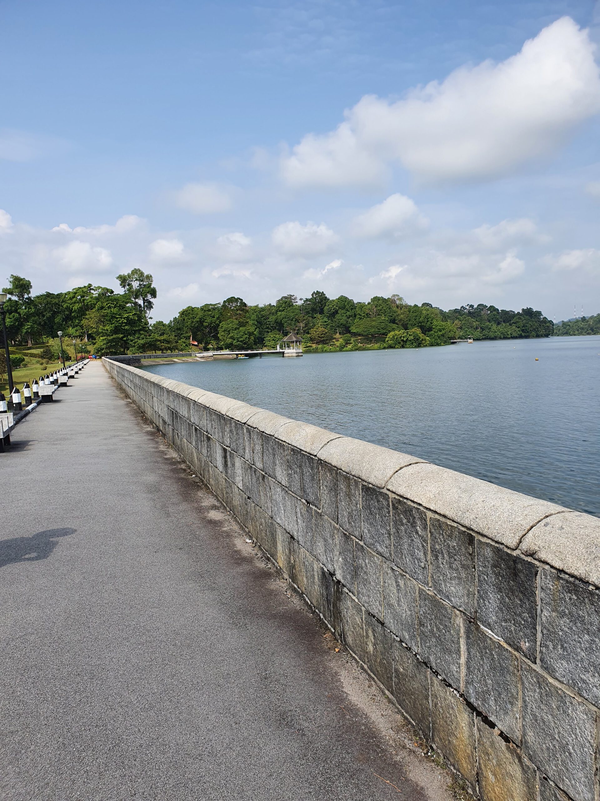 MacRitchie-Stausee