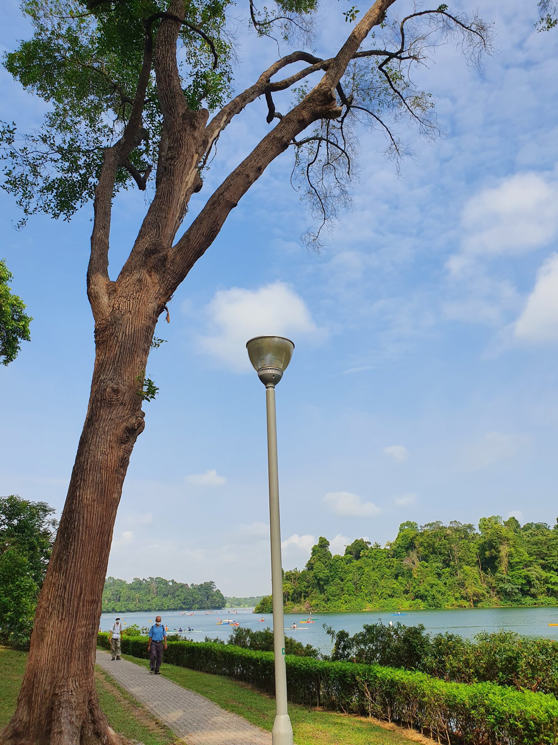 MacRitchie-Stausee