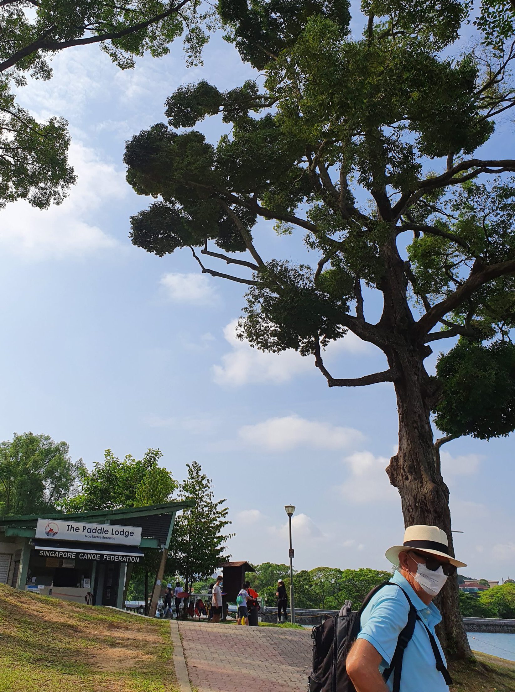 MacRitchie-Stausee