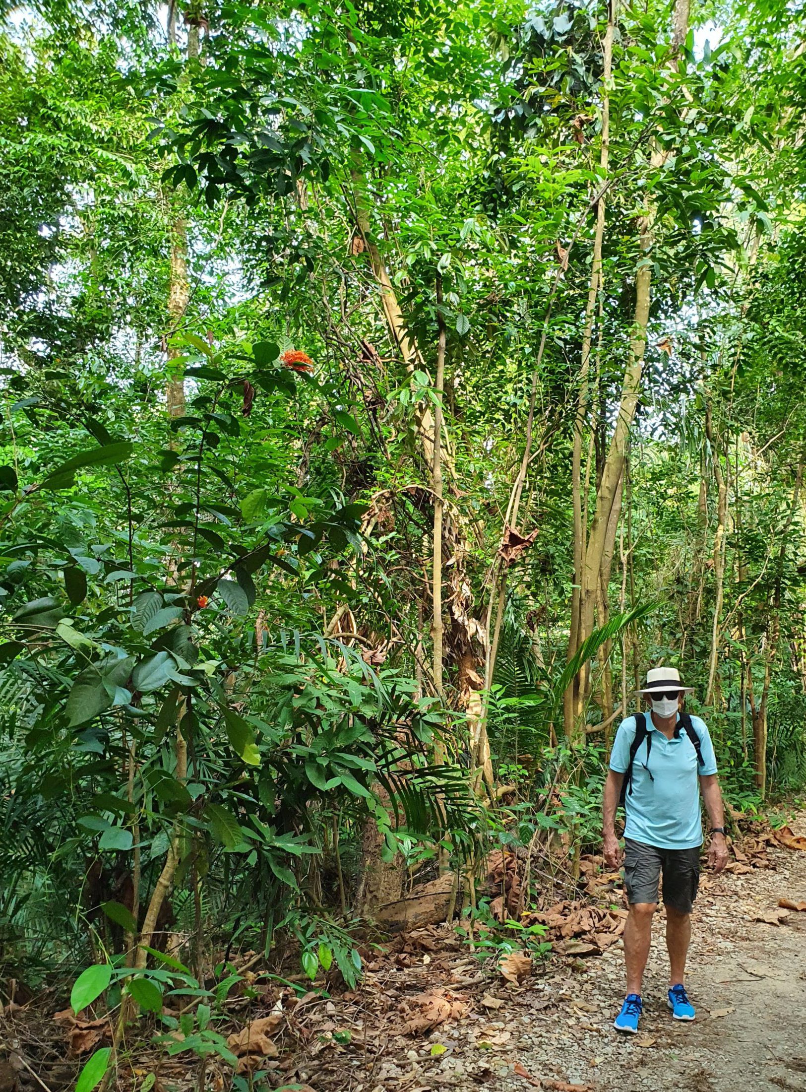 MacRitchie-Stausee