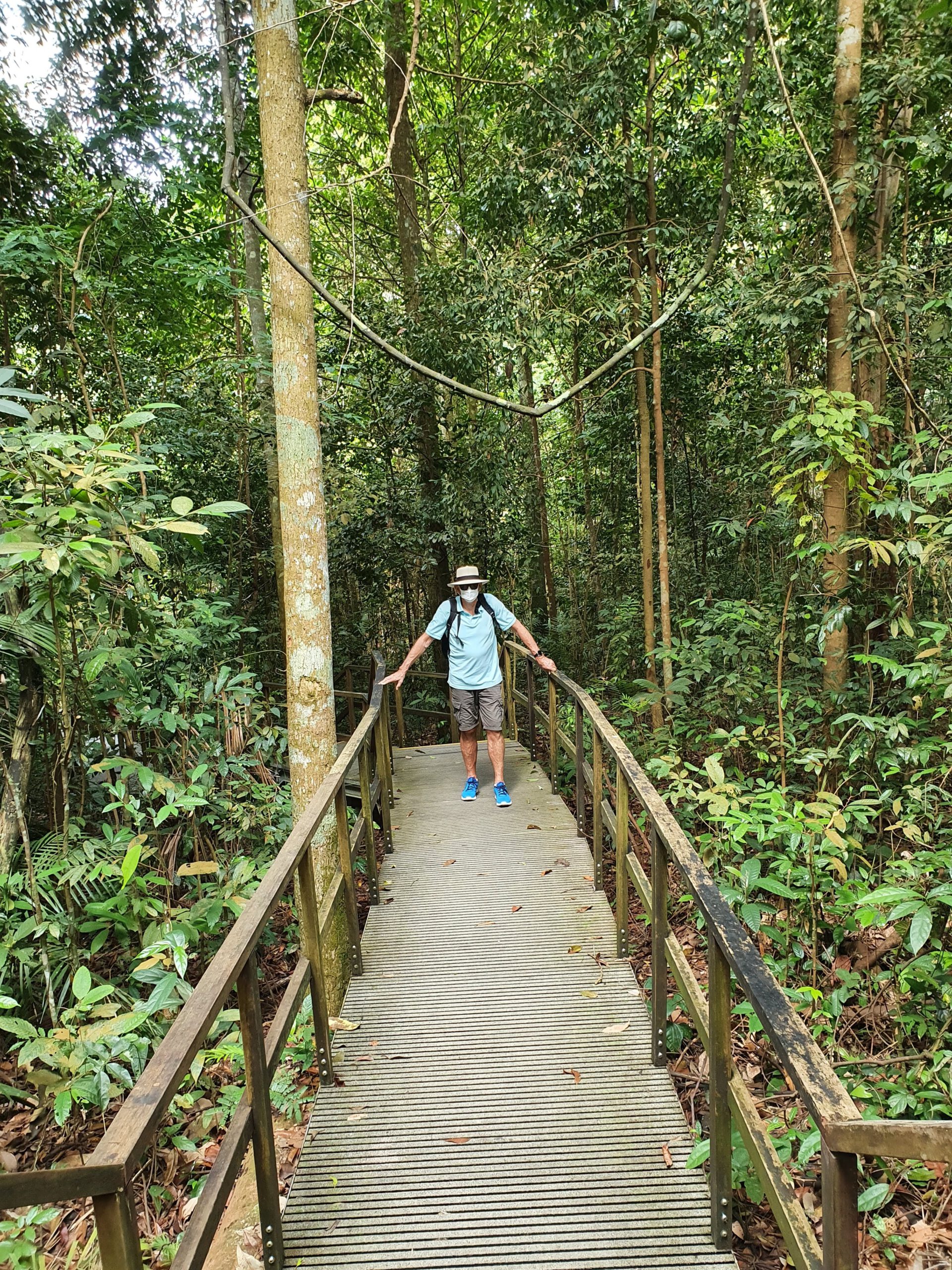 MacRitchie-Stausee