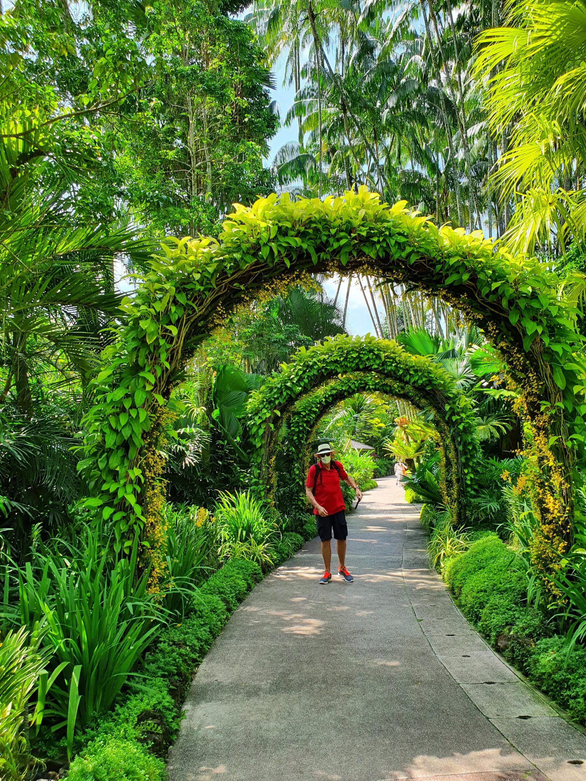 Orchid Garden Singapore