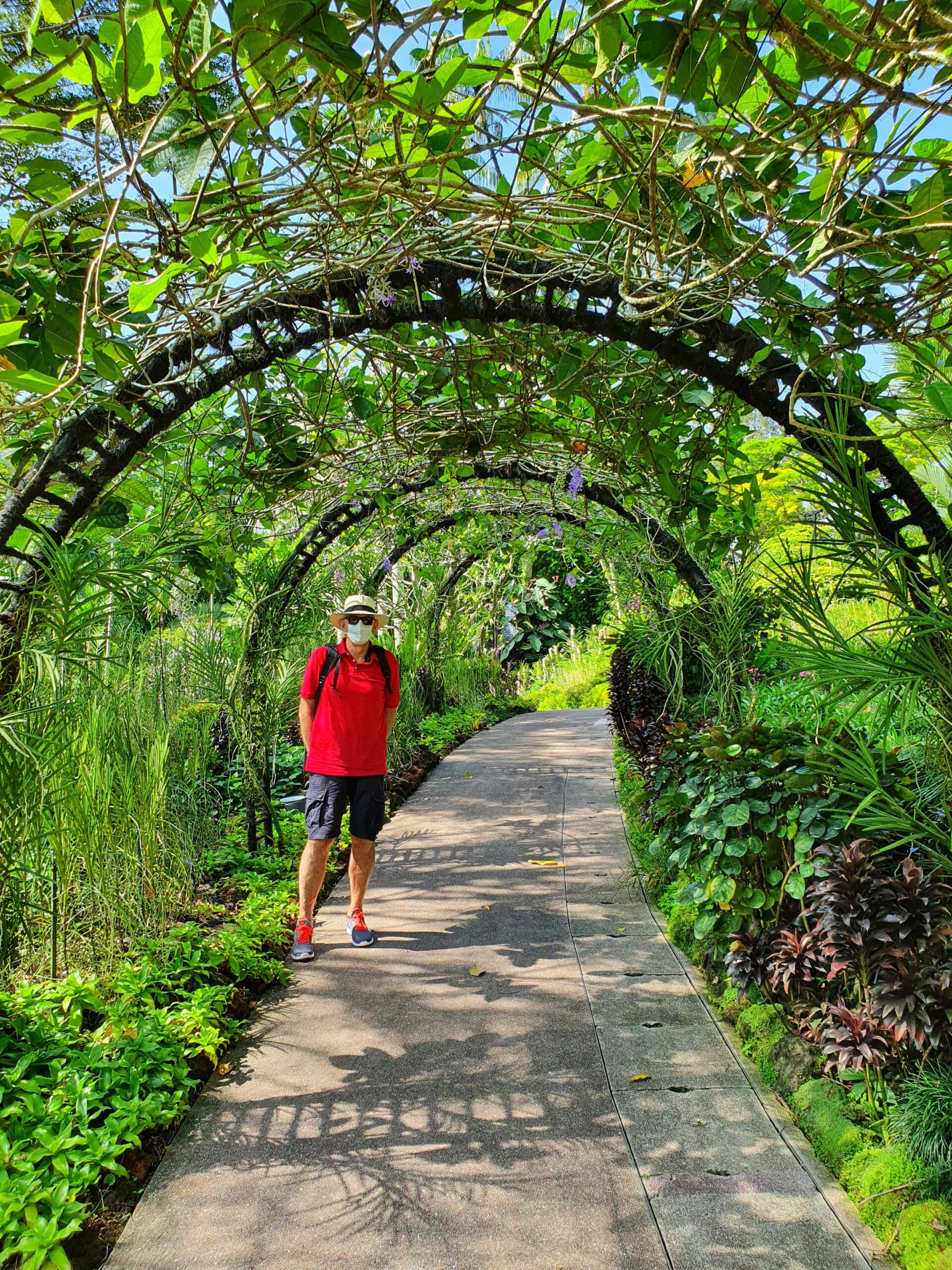 Orchid Garden Singapore