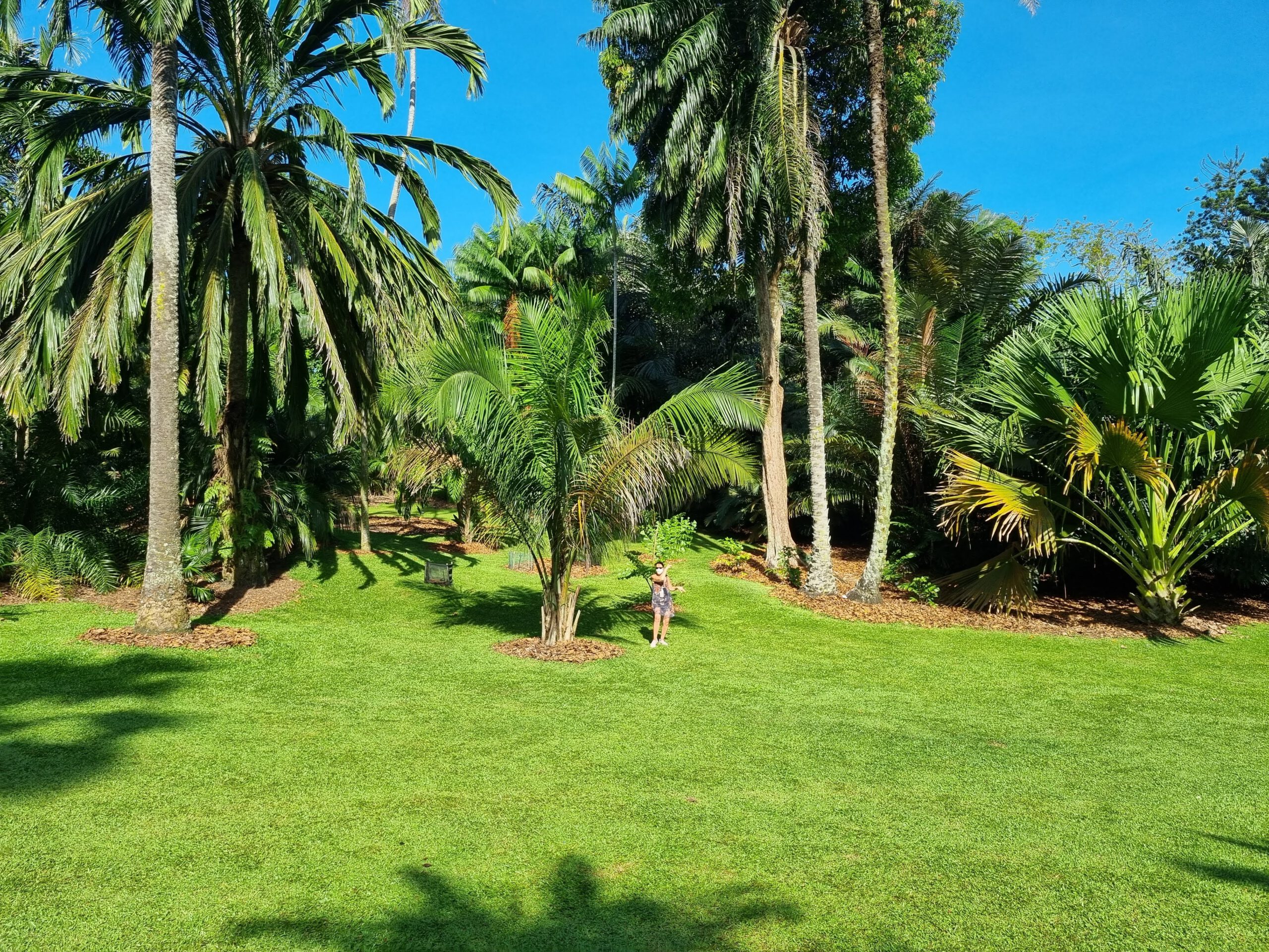 Singapore Botanic Garden