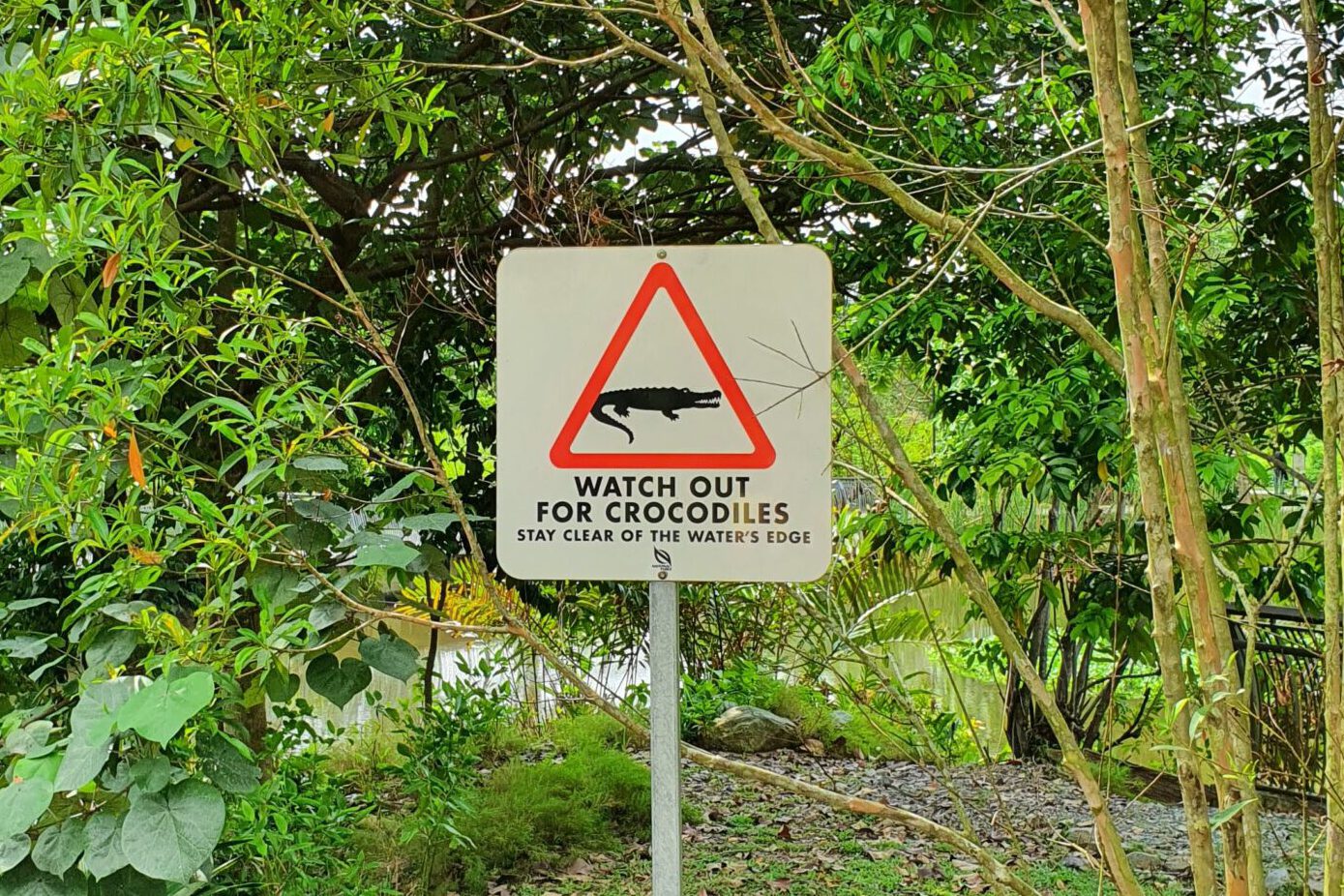 Sungei Buloh Wetland Reserve