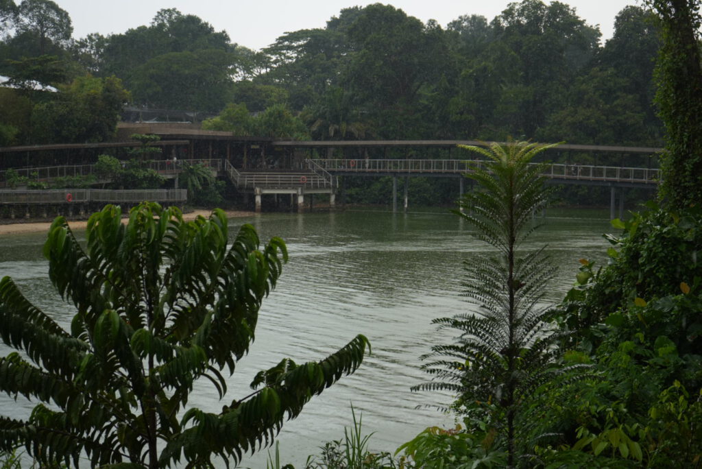 Wonders River